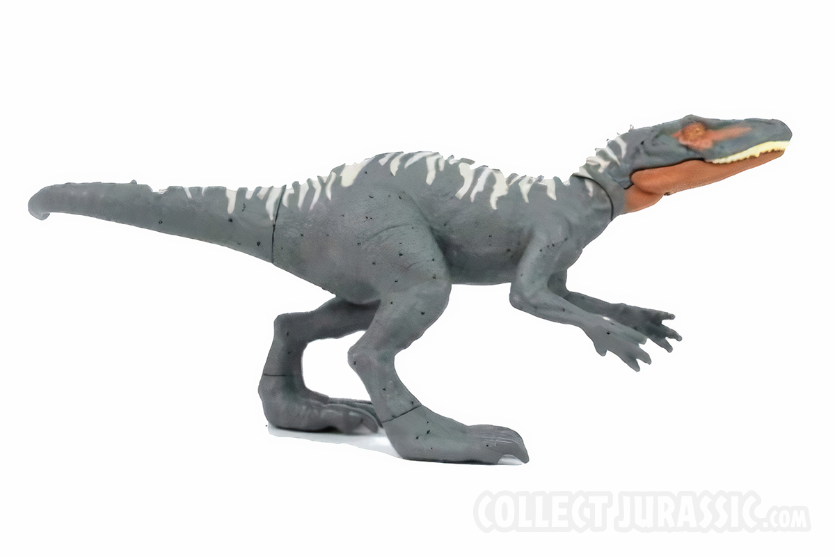 Jurassic World 2021 Velociraptor dinosaure figurine Wild Pack Dino